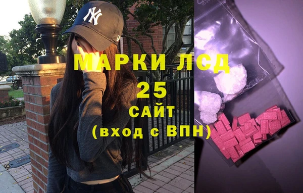 шишки Баксан