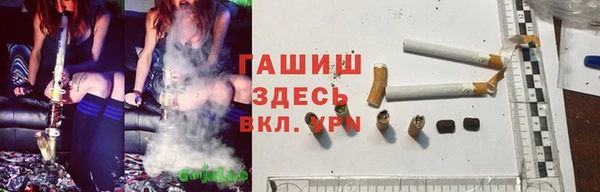 гашик Балахна